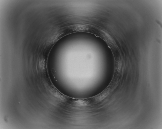 X0000097820326200803141146