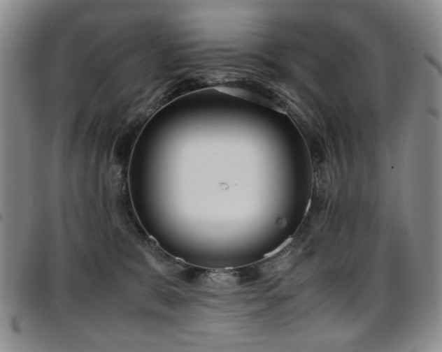 X0000097820327200803141146