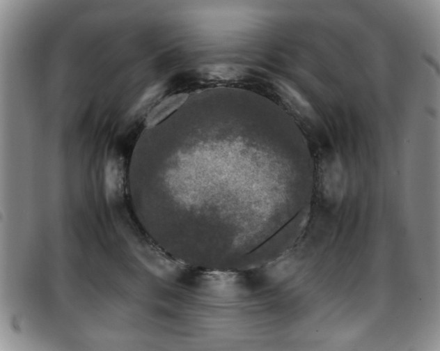 X0000097820328200803141146