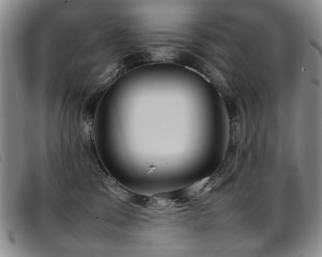 X0000097820329200803141146