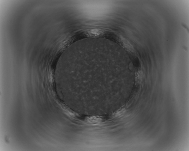 X0000097820331200803141146