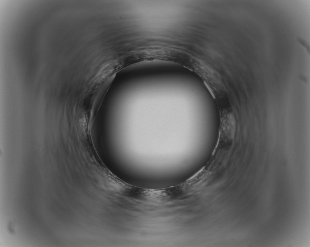 X0000097820333200803141146