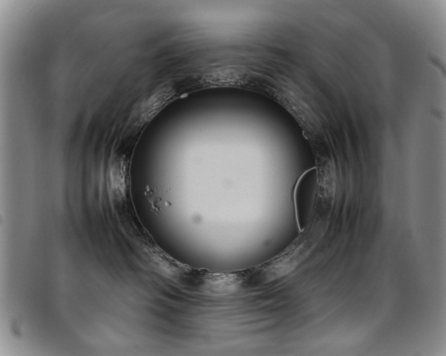 X0000097820334200803141146