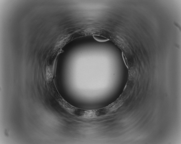 X0000097820335200803141146