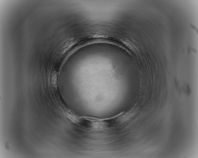 X0000097820336200803141146