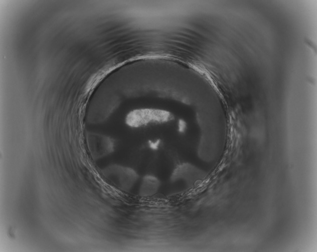 X0000097820337200803141145