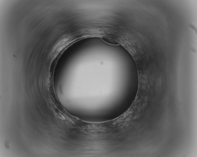 X0000097820338200803141145