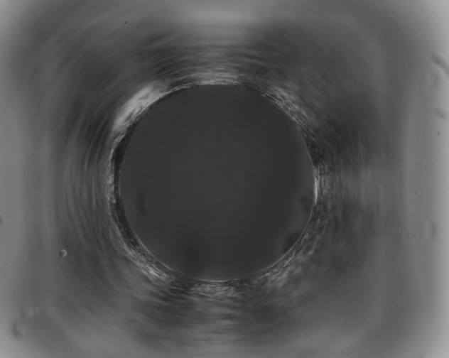 X0000097820339200803141145