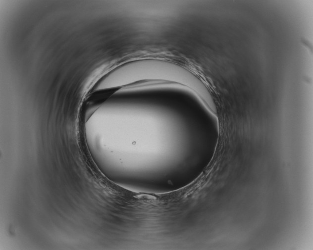 X0000097820340200803141145