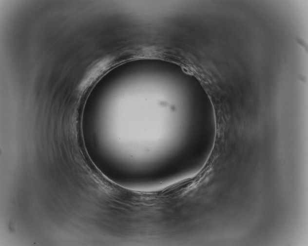 X0000097820341200803141145