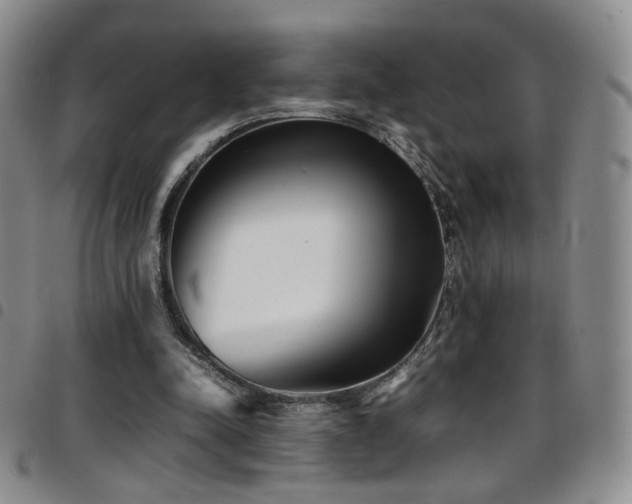 X0000097820342200803141145