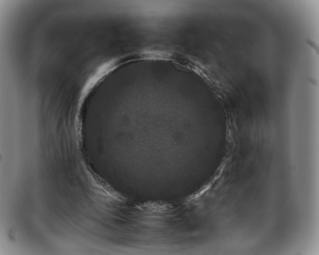 X0000097820343200803141145