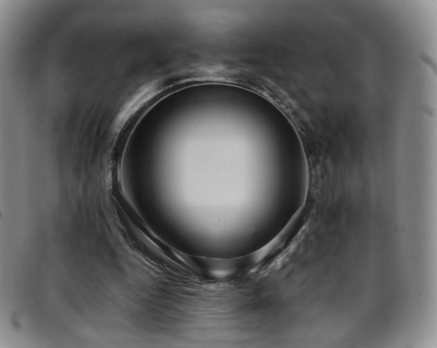 X0000097820344200803141145