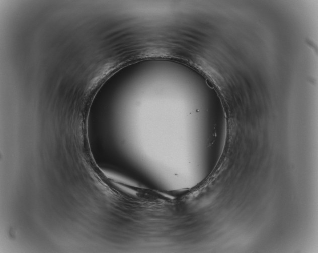 X0000097820345200803141145