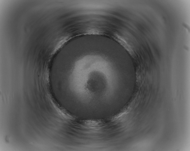 X0000097820347200803141145