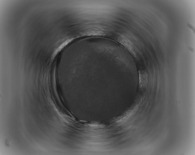 X0000097820348200803141145