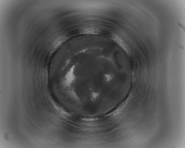 X0000097820349200803141145