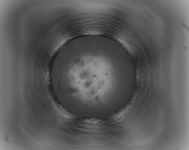 X0000097820351200803141145