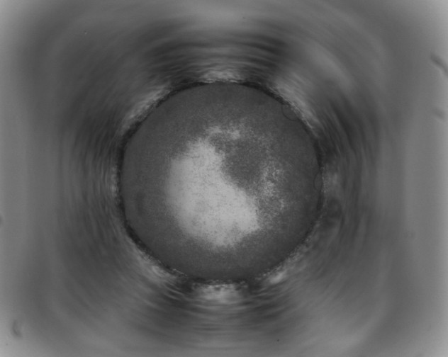 X0000097820353200803141145