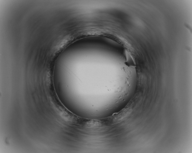 X0000097820354200803141146