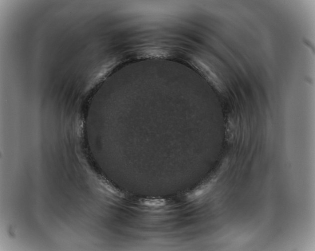 X0000097820355200803141146