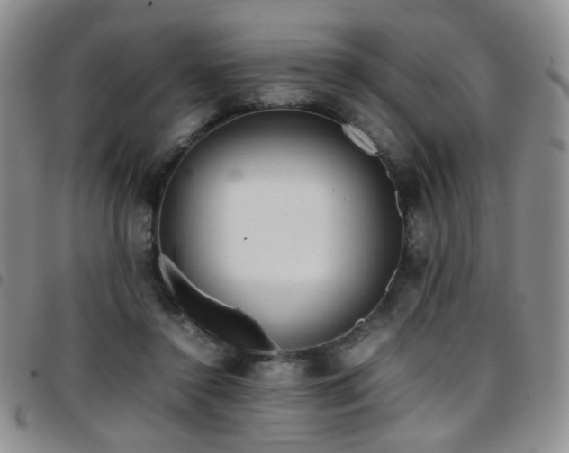 X0000097820356200803141146