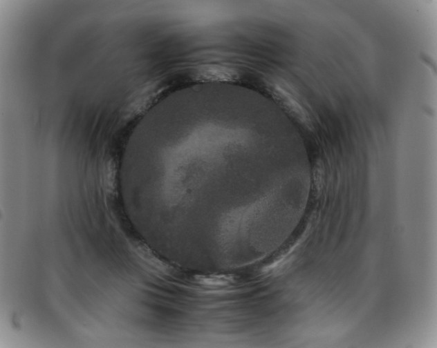 X0000097820359200803141146