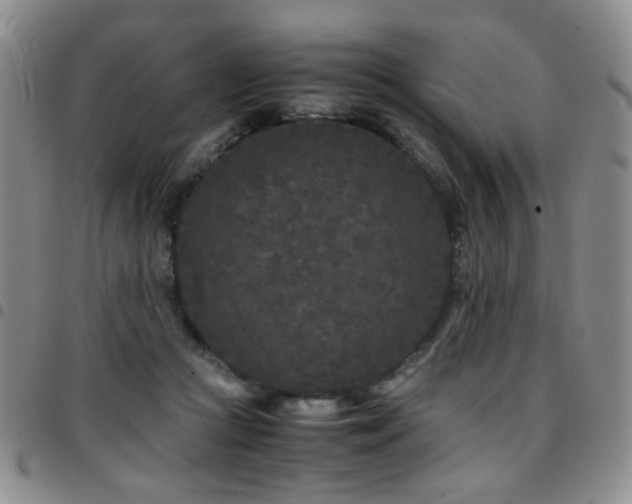 X0000097820361200803141146