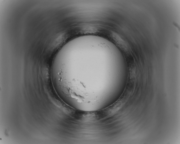 X0000097820362200803141146