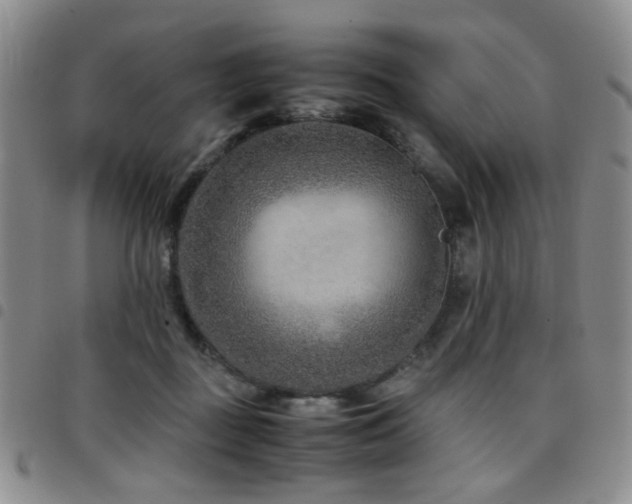 X0000097820363200803141146