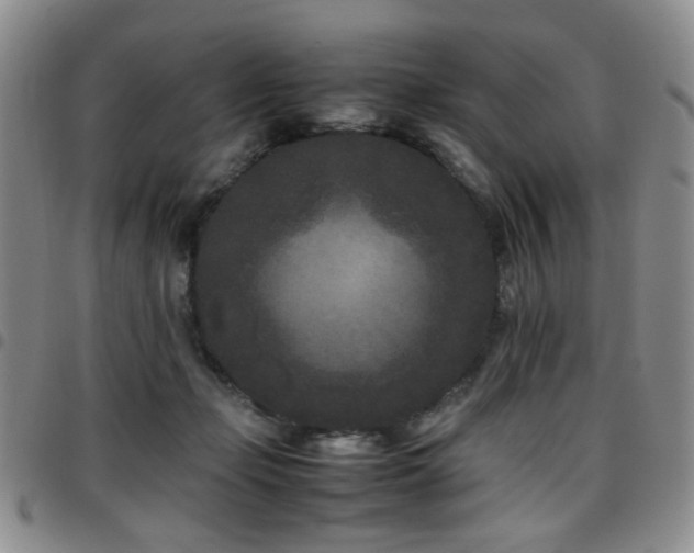 X0000097820365200803141146