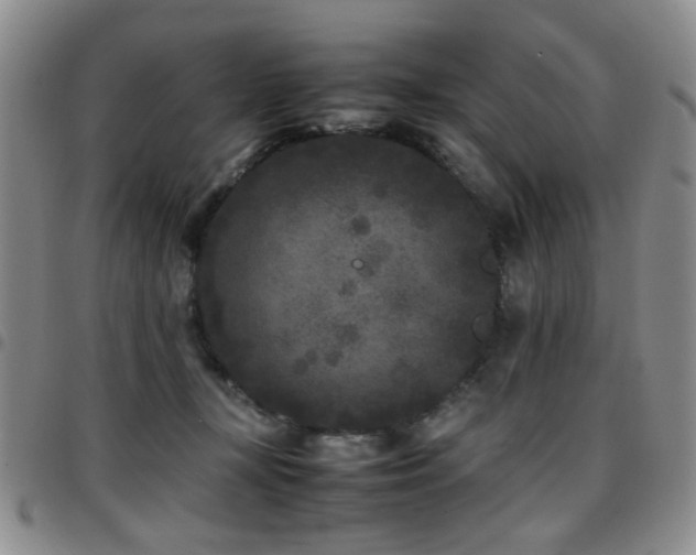 X0000097820367200803141146