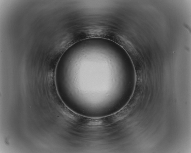 X0000097820369200803141146