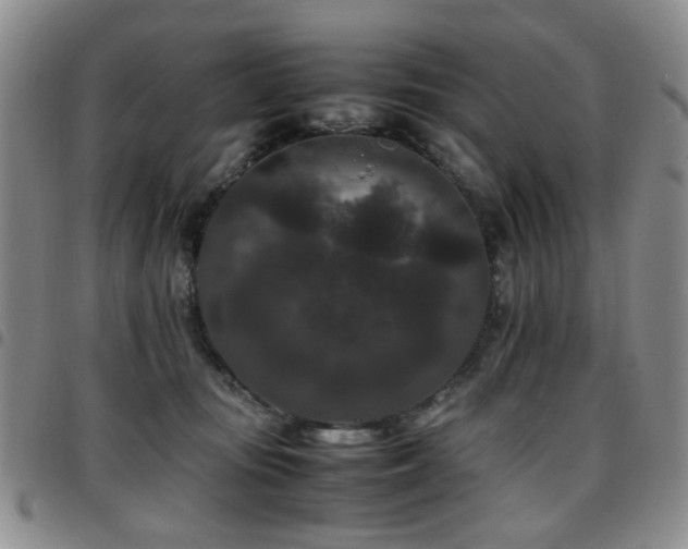 X0000097820371200803141146