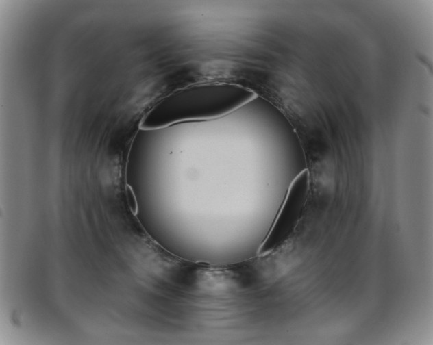 X0000097820372200803141146