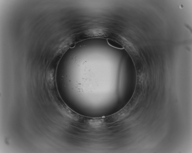 X0000097820373200803141146