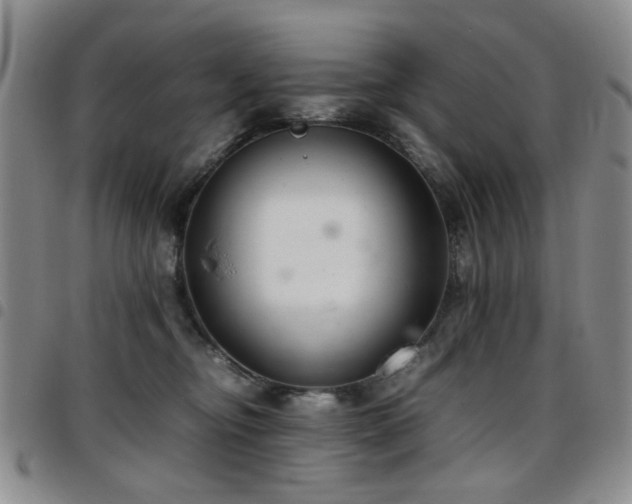 X0000097820374200803141146