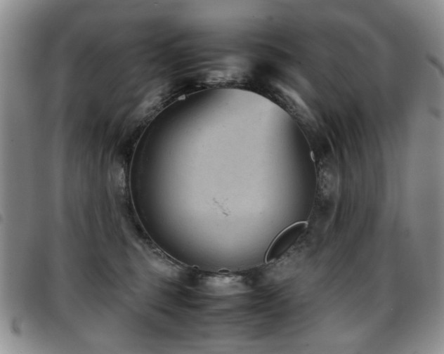 X0000097820375200803141146