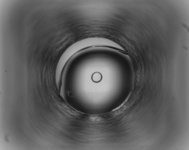 X0000097820376200803141146