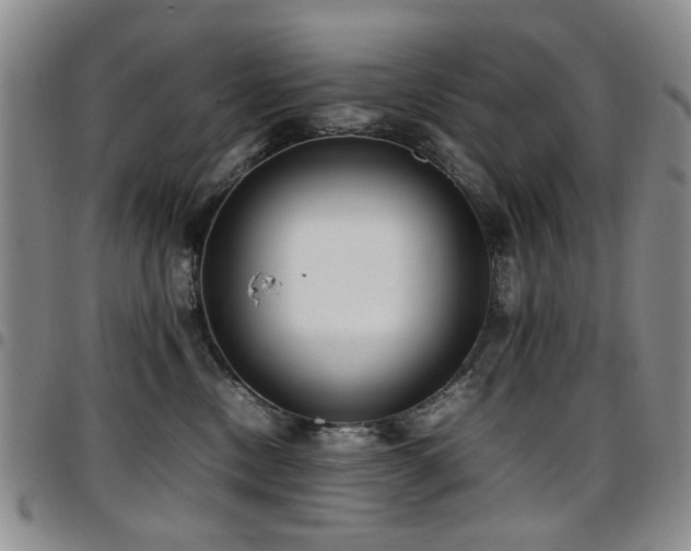 X0000097820378200803141146