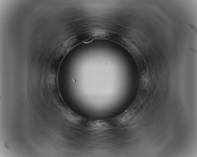 X0000097820379200803141146