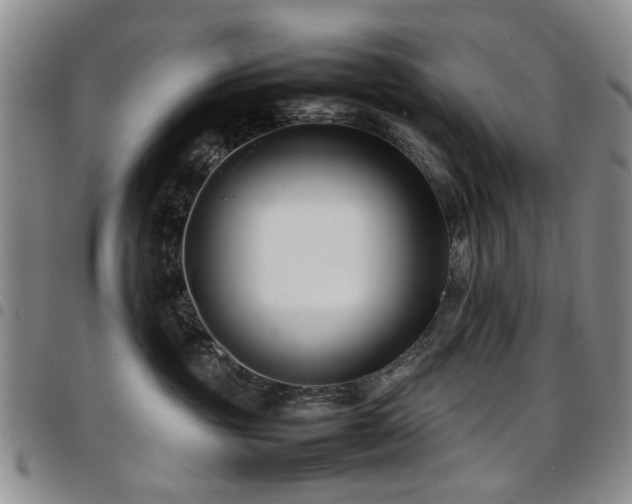 X0000097820381200803141146