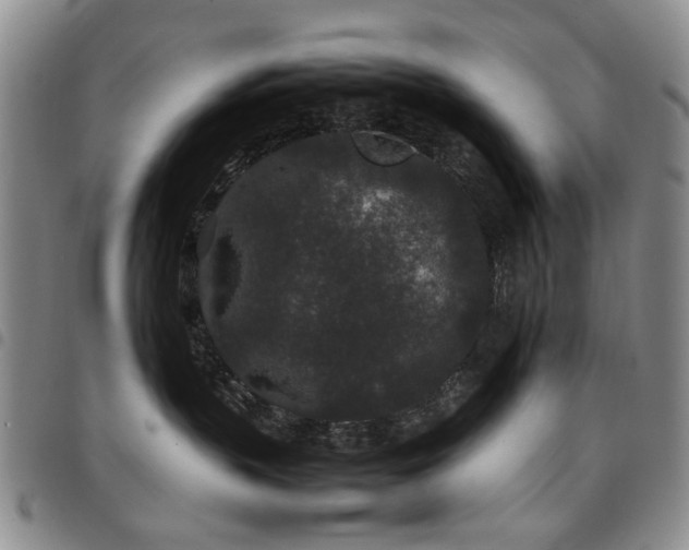 X0000097820383200803141146