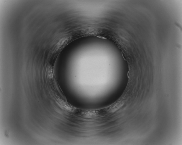 X0000097820384200803141146