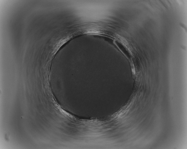 X0000097820385200803141145