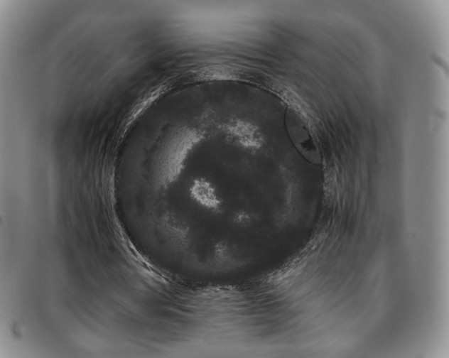 X0000097820386200803141145