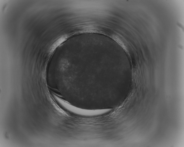 X0000097820389200803141145