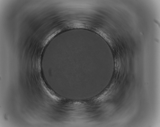 X0000097820390200803141145