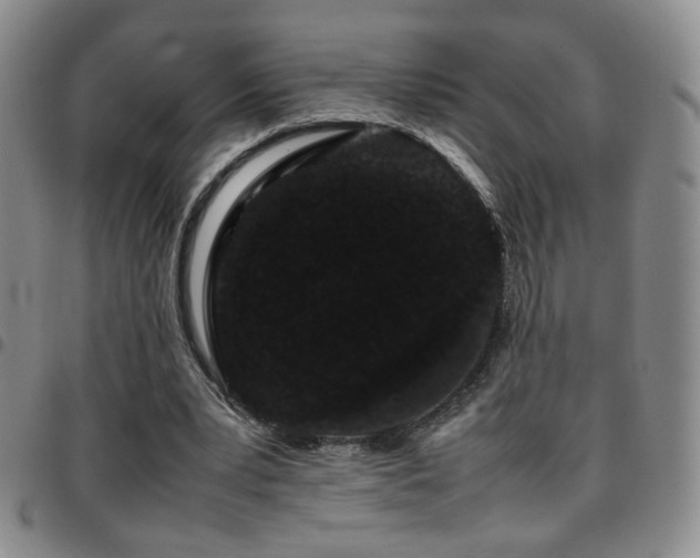 X0000097820391200803141145