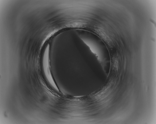 X0000097820392200803141145